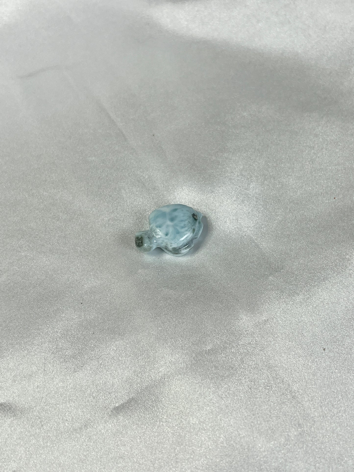 Larimar Turtle
