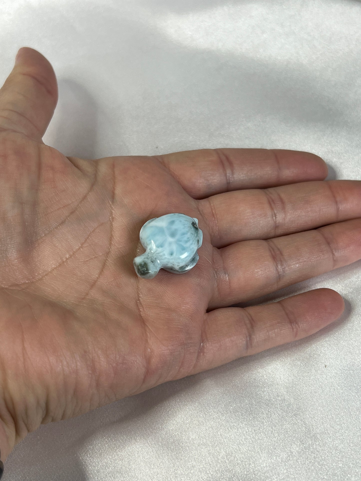 Larimar Turtle