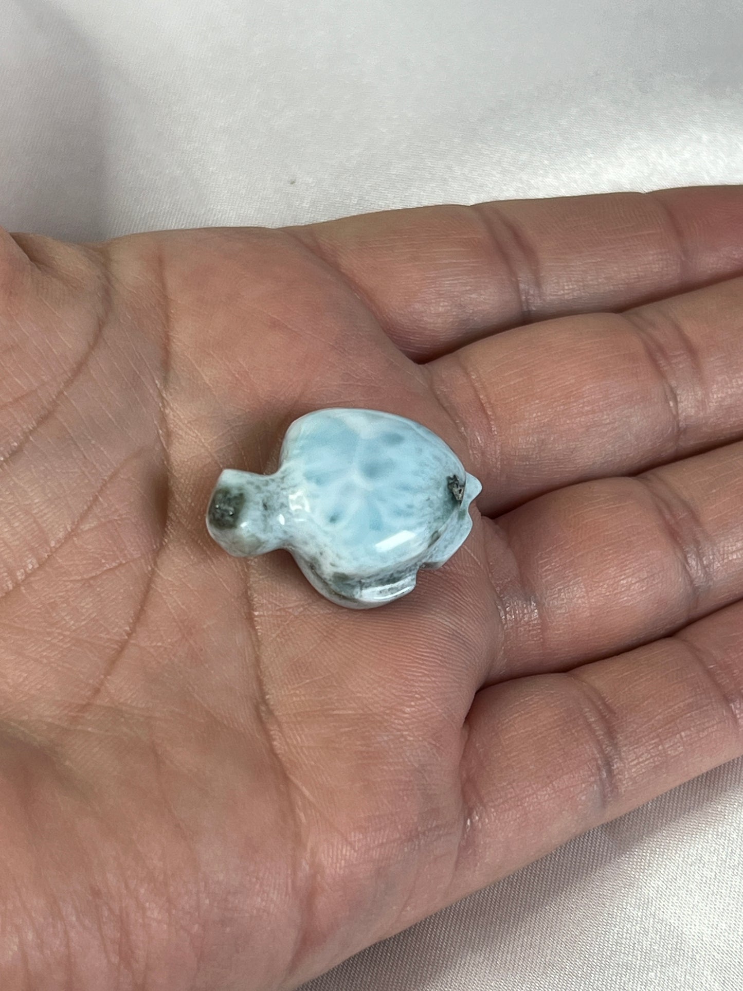Larimar Turtle