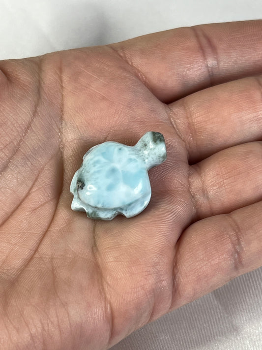 Larimar Turtle