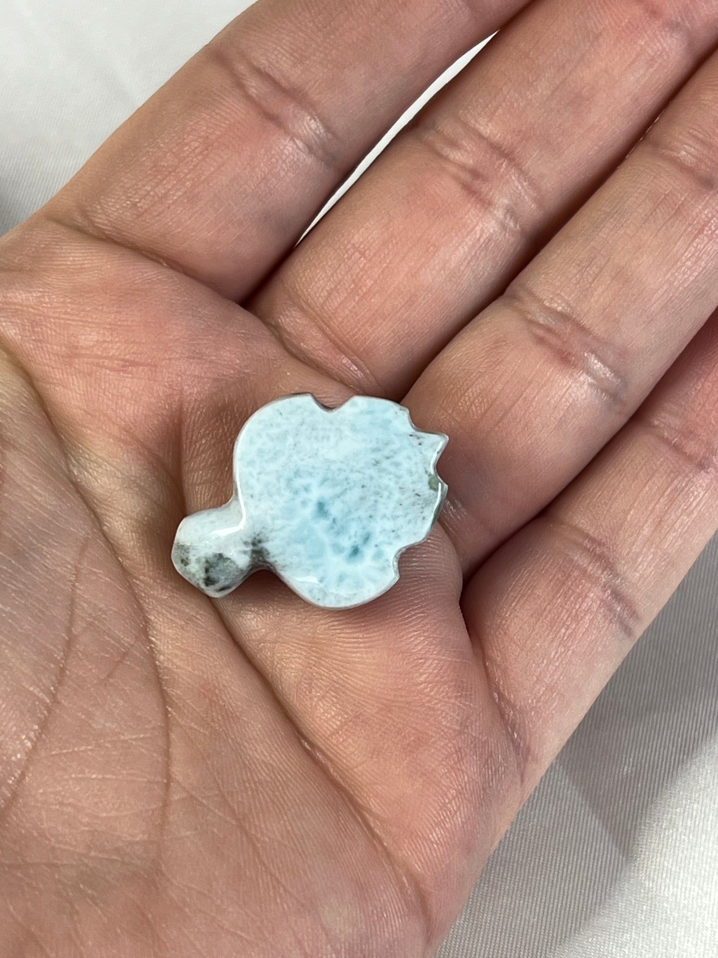 Larimar Turtle