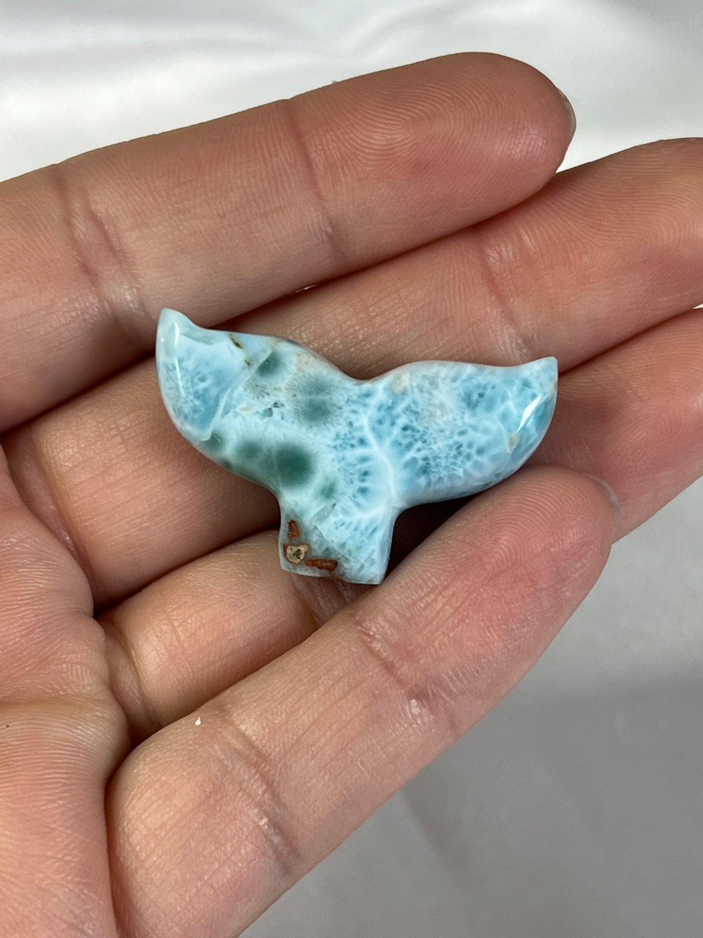 Larimar Whale Tail