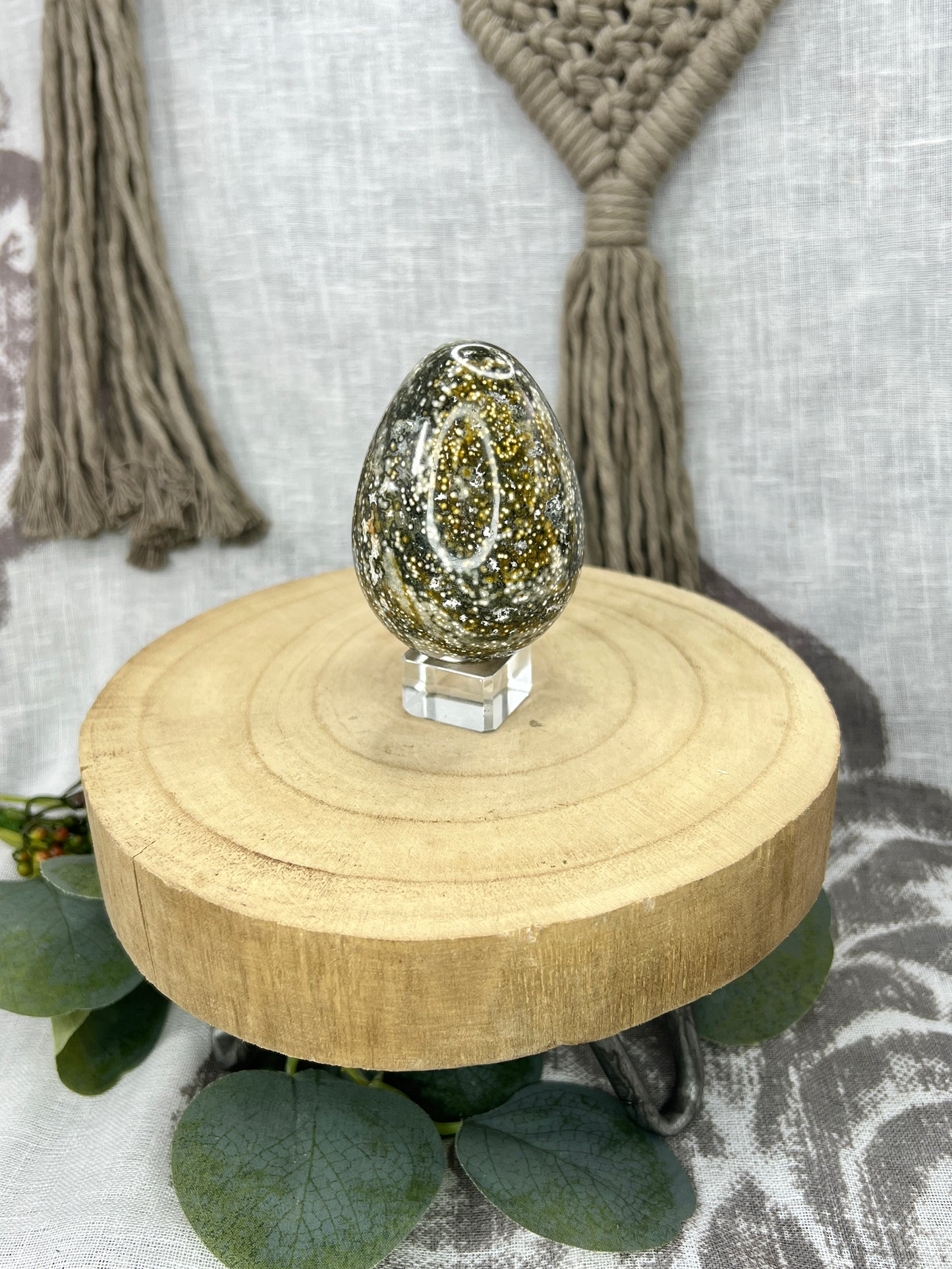 Orbicular Green Ocean Jasper Egg
