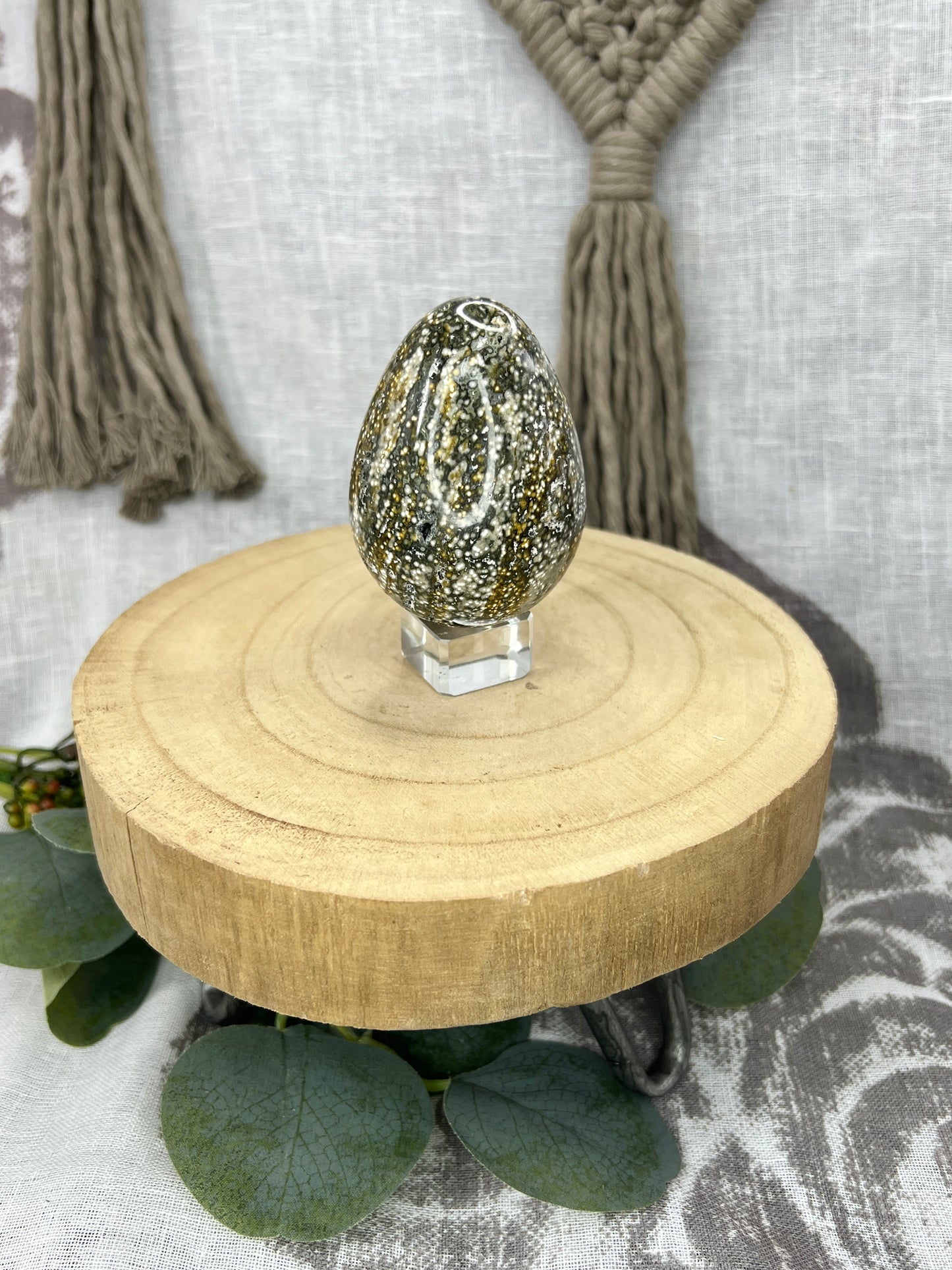Orbicular Green Ocean Jasper Egg