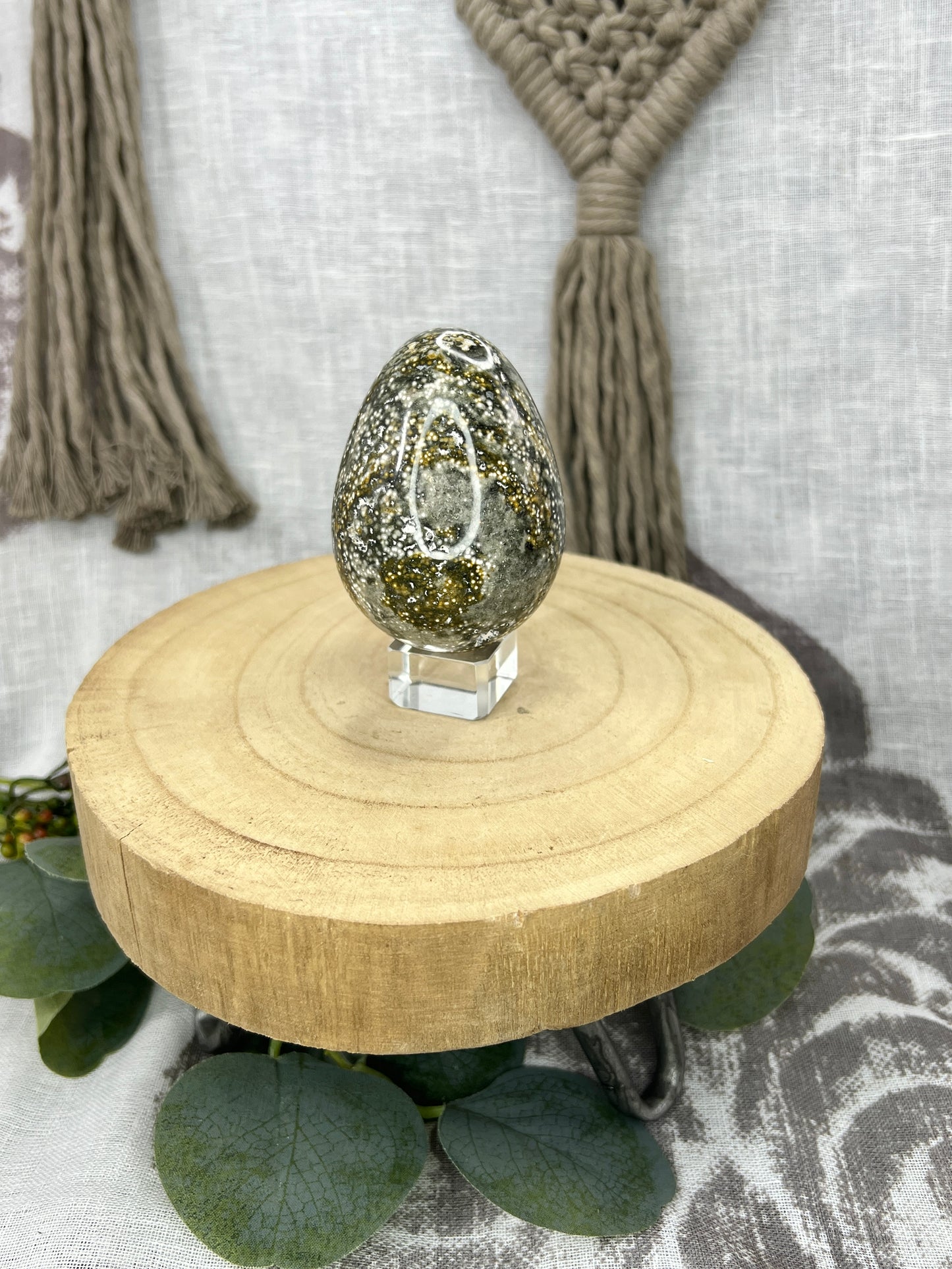Orbicular Green Ocean Jasper Egg
